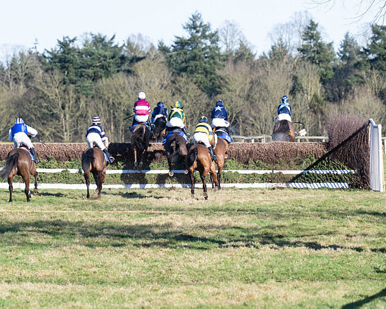 Race 5 - Maiden (42 of 123)