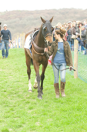 Race 4 - Nov-vets 9