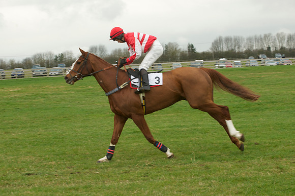 Race 5 - 5