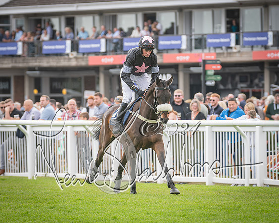 Race 1 - Pointing Pointers Restricted Final (21 of 79)