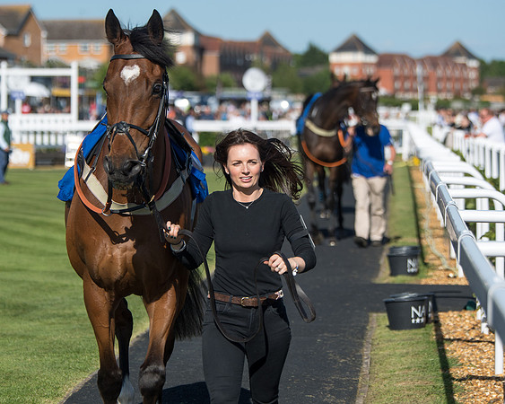 Race 1 - PPSA Open Hunter chase (8 of 78)