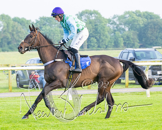 Race 5 - Peter Wright Handicap (30 of 117)