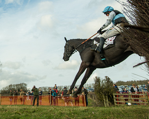 Race 5 - PPORA Conditions 2 - 8 and over  (92 of 156)