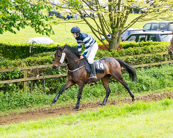 Race 5  - Novice riders (27 of 188)