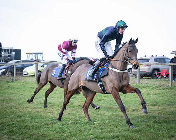 Race 2 - Maiden (30 of 145)