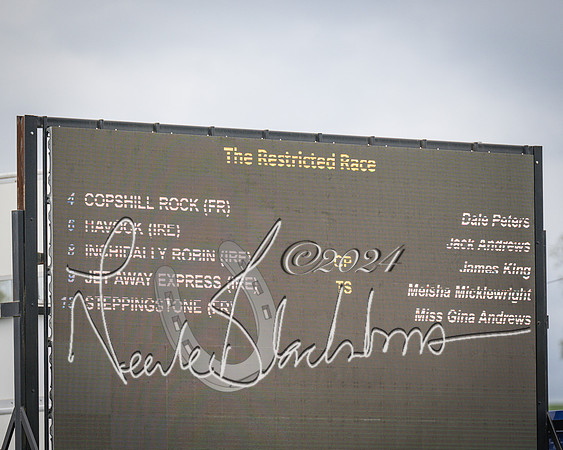 Race 6 - The Restricted Race (1 of 101)