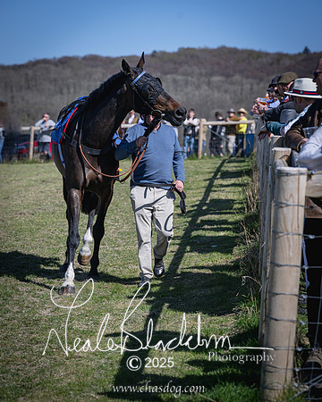 Race 3 - Grassroots riders (8 of 83)