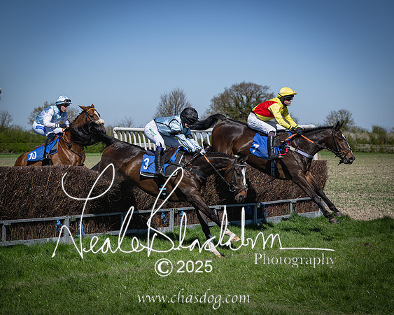 Race 2 - The Maiden (56 of 118)