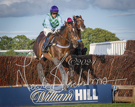 Race 5 - tipsterreviews.co.uk handicap (48 of 107)