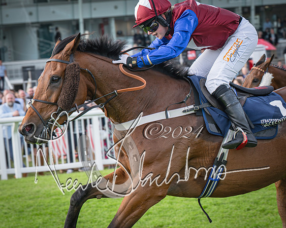 Race 2 - Olly Murphy Racing Stratford Ladies Open (94 of 111)