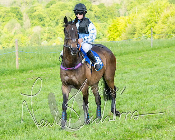 Race 5  - Maiden race 2m5F Div-2 (121 of 205)