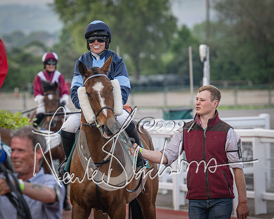 Race 5 - Mares Open Hunter Steeplechase 3m2f 70y (33 of 269)