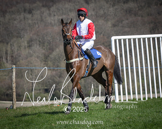 Race 4 - Mixed Open (47 of 168)