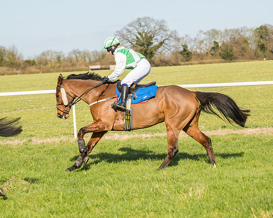 Race 3 - Ladies Open (8 of 156)