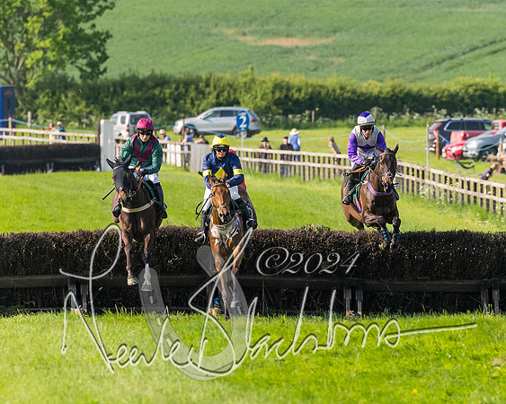 Race 6 - Owner trainer conditions (84 of 272)