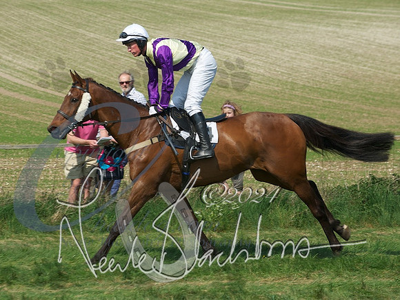 picture-8