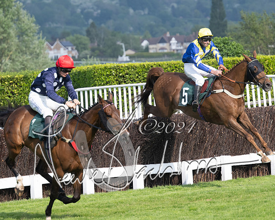 Race 1 - The Bottle Green Open Hunters steeplechase 2m62y (60 of 93)