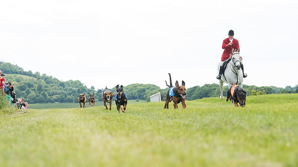 Hound Race  (30 of 49)