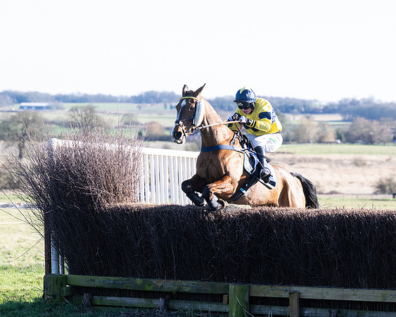 Race 5 - Maiden (96 of 123)