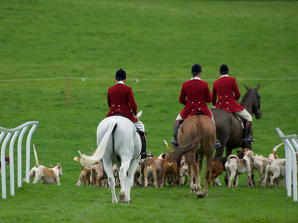 Pytchley - Hounds and friends 26