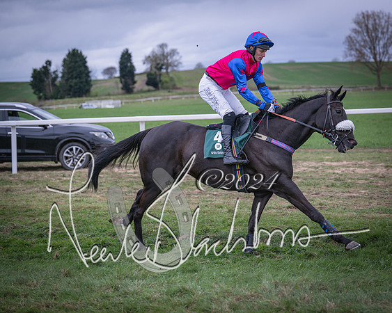 Race 6 - The Restricted Race (18 of 101)