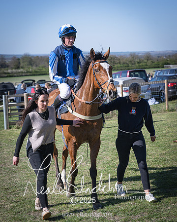 Race 6 - Veteran horse (103 of 109)
