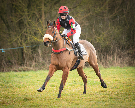 Pony Race 2 (52 of 79)