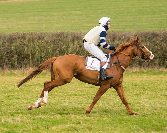 Race 3 - Restricted  (20 of 100)