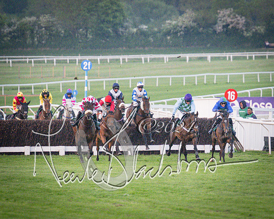 Race - 7 The Royal Gloucester Hussars Open Hunter's steeplechase 2m4f 127y (91 of 210)