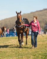 Race 1 Div 1 - 2M4F Maiden (10 of 117).jpg