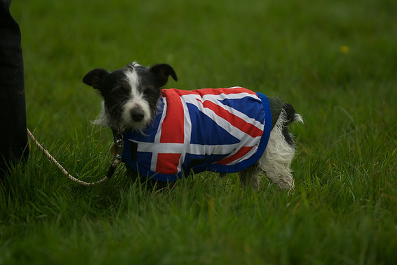 1 -Terrier Races 10