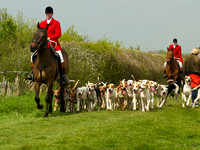 Ponies and Hounds 16