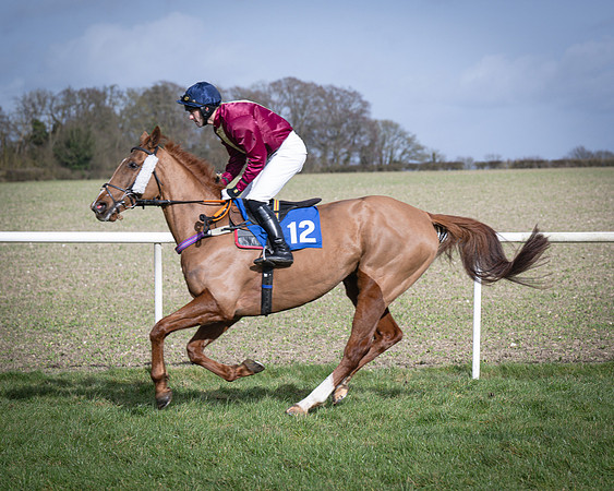 Race 3 - The Maiden Conditions (51 of 214)