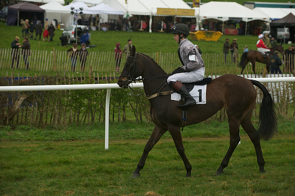 Race 8 - Pony Race 2 -  9