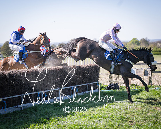 Race 6 - Veteran horse (97 of 109)