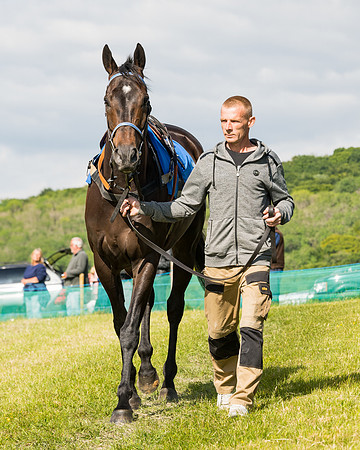 Race 5 - Restricted  (12 of 136)