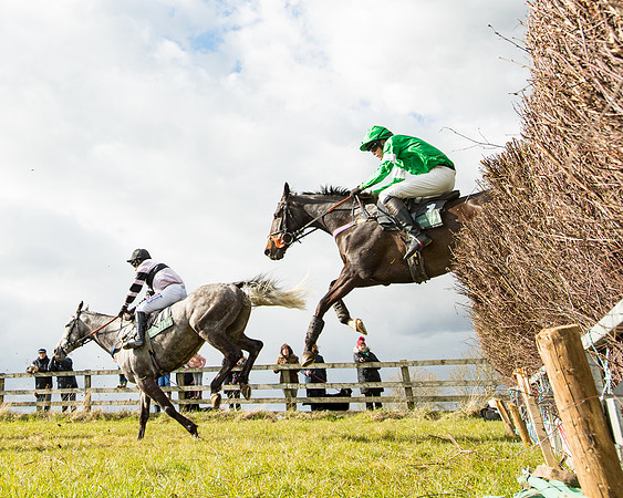 Race 5 - Restricted  (44 of 118)