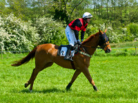 GR2_9333
