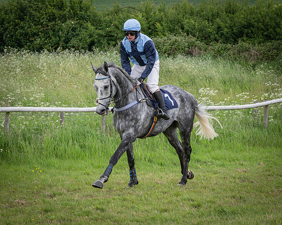 Race 5 - 3 Mile Maiden [NWFAA] (10 of 95)