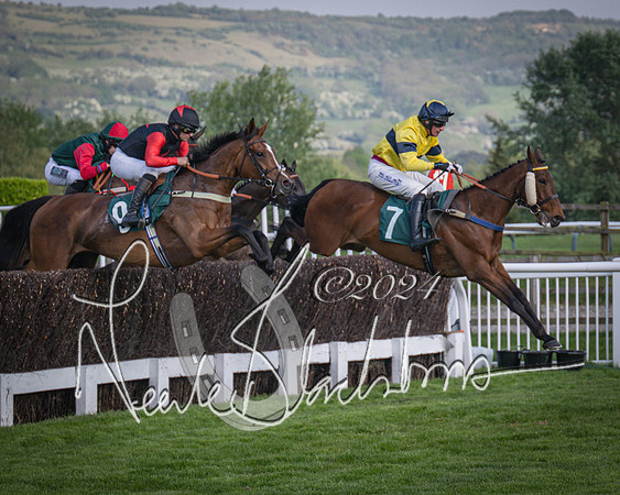 Race 2 - The Venatour sports travel intermediate point to point hunters’ steeplechase 5 year olds and over 3m2f (45 of 163)