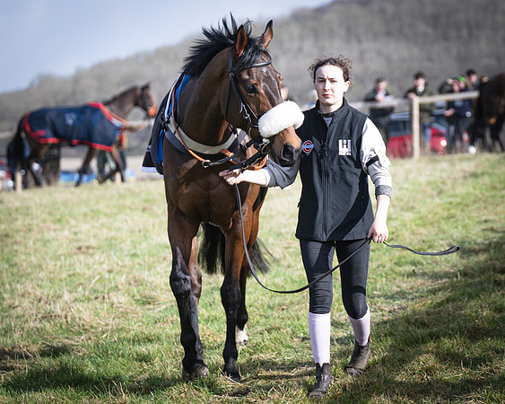 Race 1 - Four and Five year Old Maiden (9 of 137)