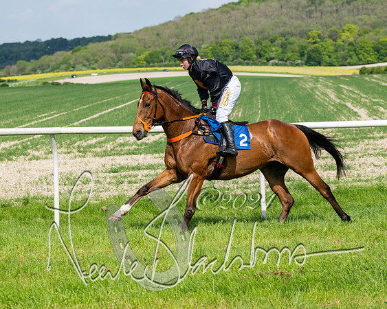 Race 3 - Ladies Open  (55 of 133)