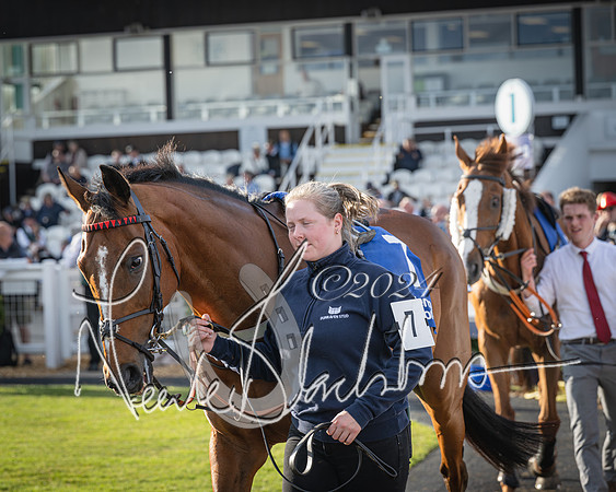 Race 4 - Peretemps Stratford Foxhunters (22 of 168)