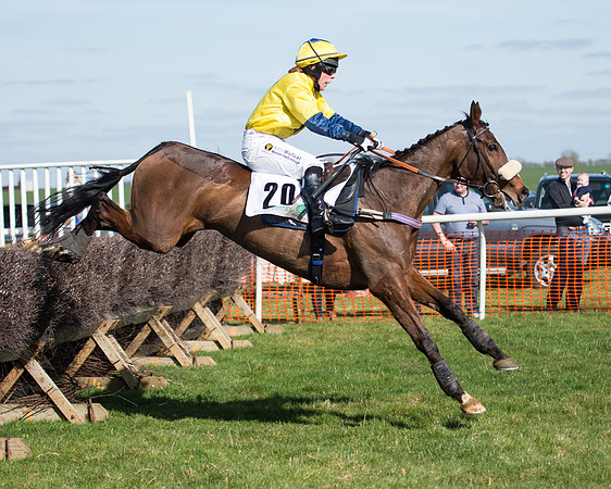 Race 1 - Open Maiden Div 1 (86 of 88).jpg