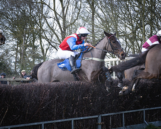 Race 2 - Maiden (80 of 145)