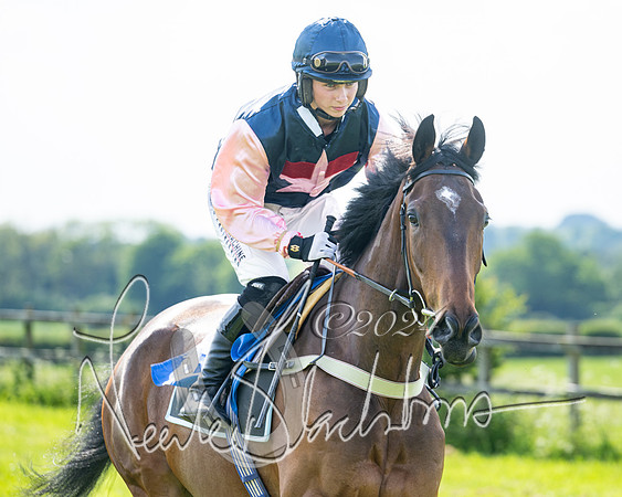 Race 5  - Maiden race 2m5F Div-1 (53 of 197)