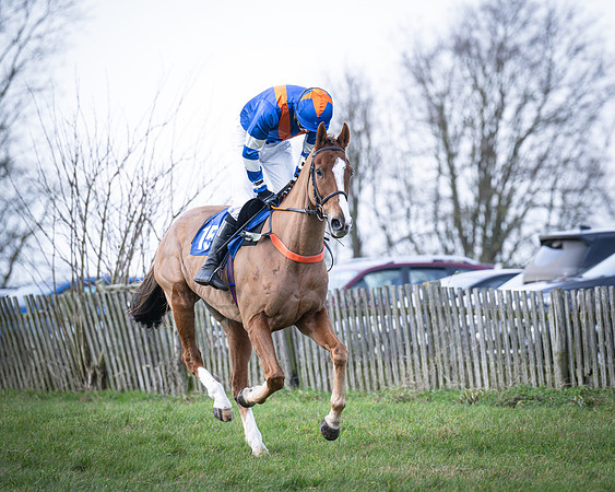 Race 2 - Maiden (35 of 145)