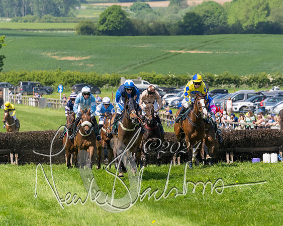 Race 2 - The Maiden  (211 of 442)