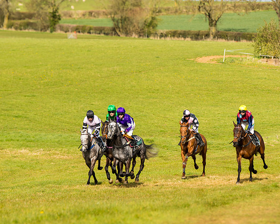 Race 5 - Restricted  (16 of 118)