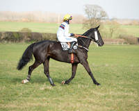Race 4 - Restricted Race (4 of 137).jpg
